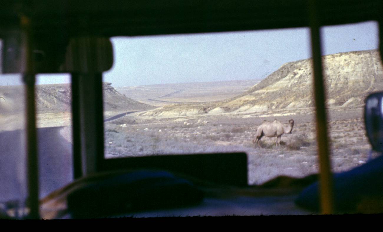 030.JPG