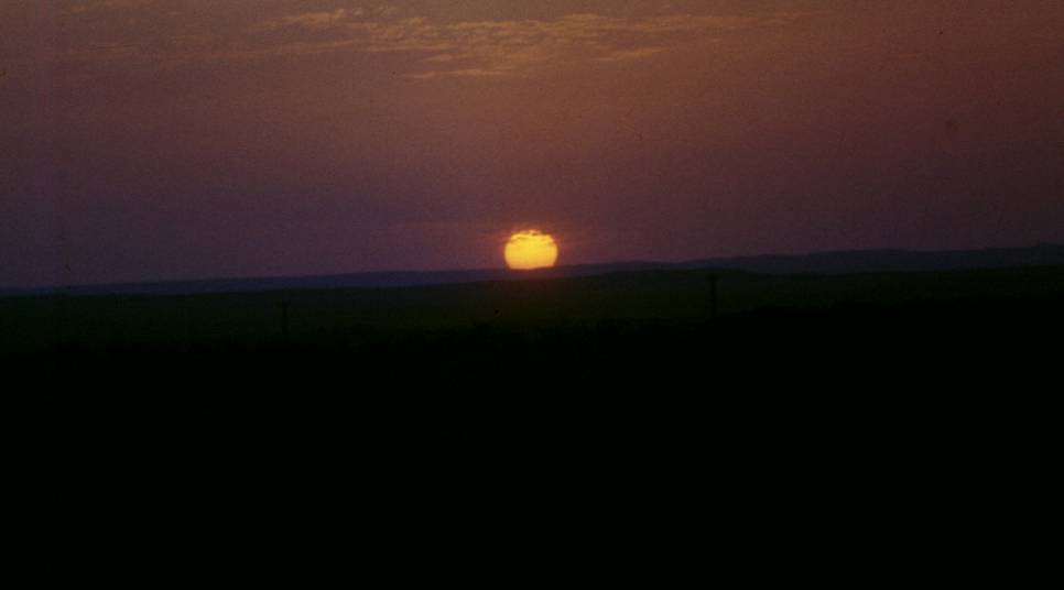 035.JPG