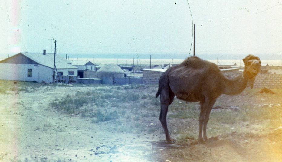 040.JPG