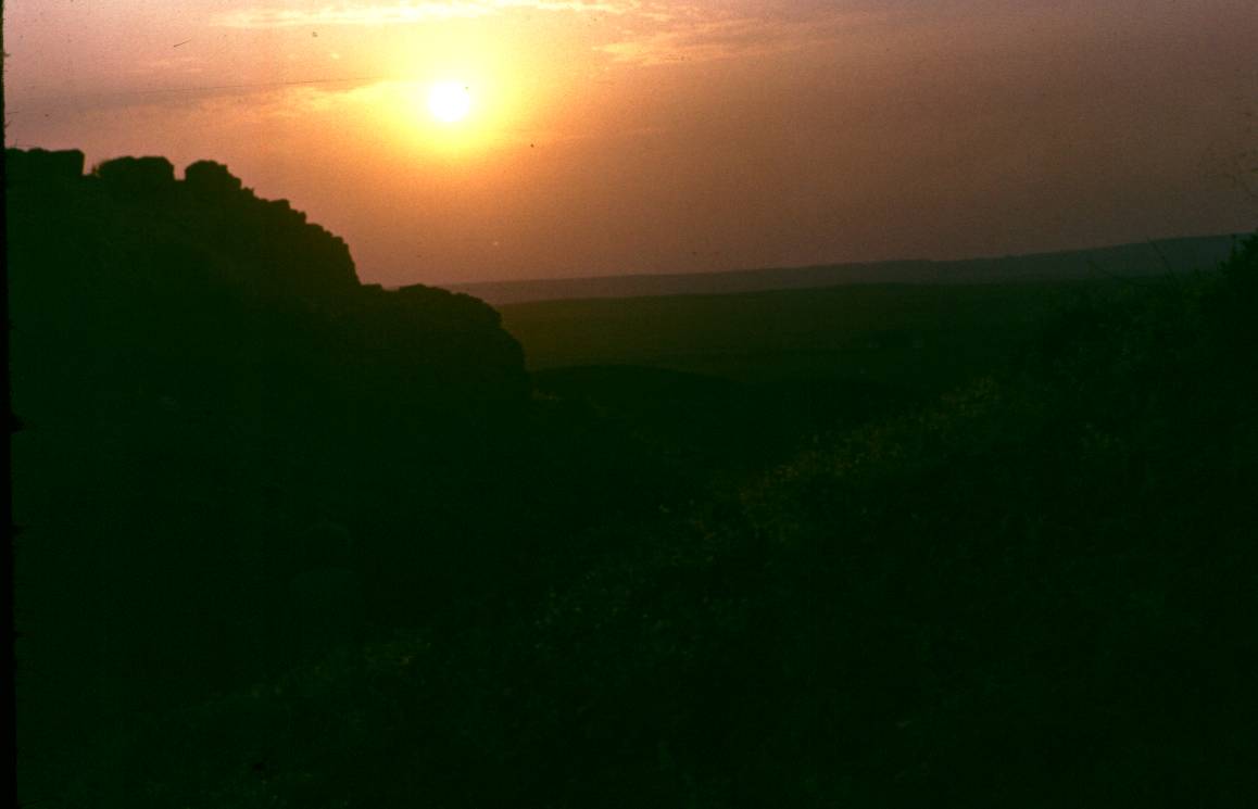 060.JPG