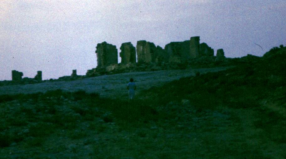 099.JPG