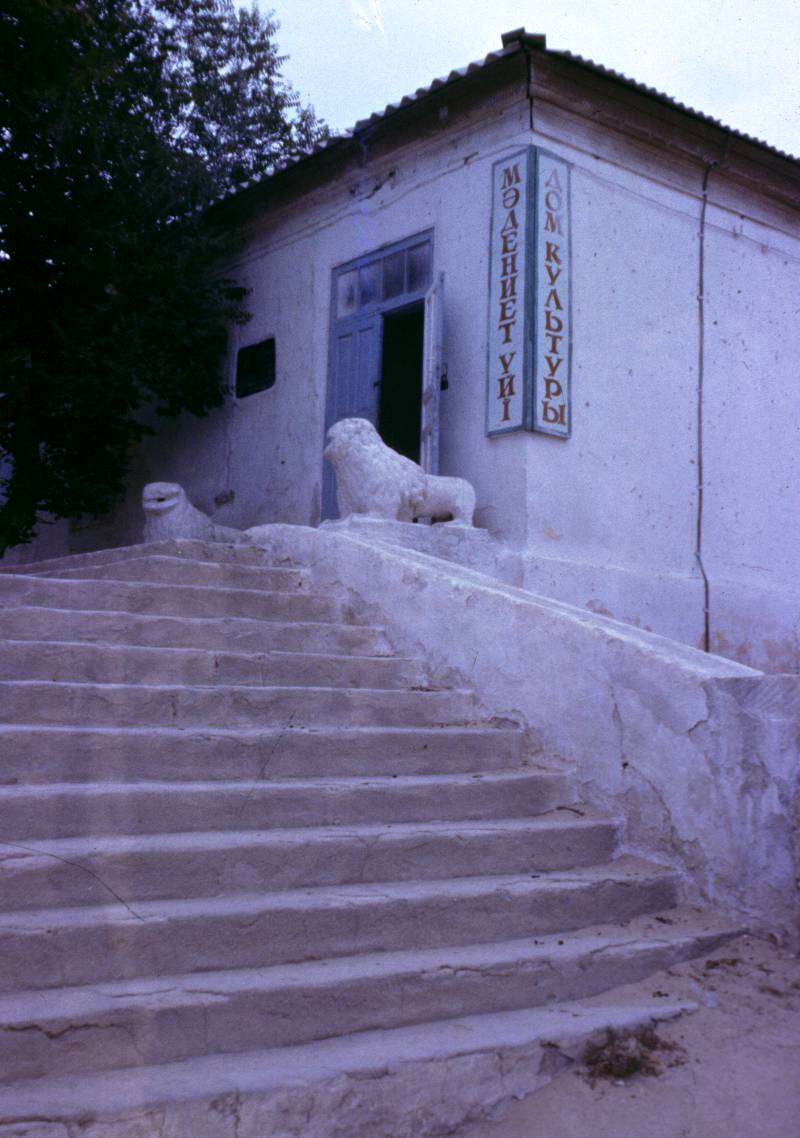 116.JPG