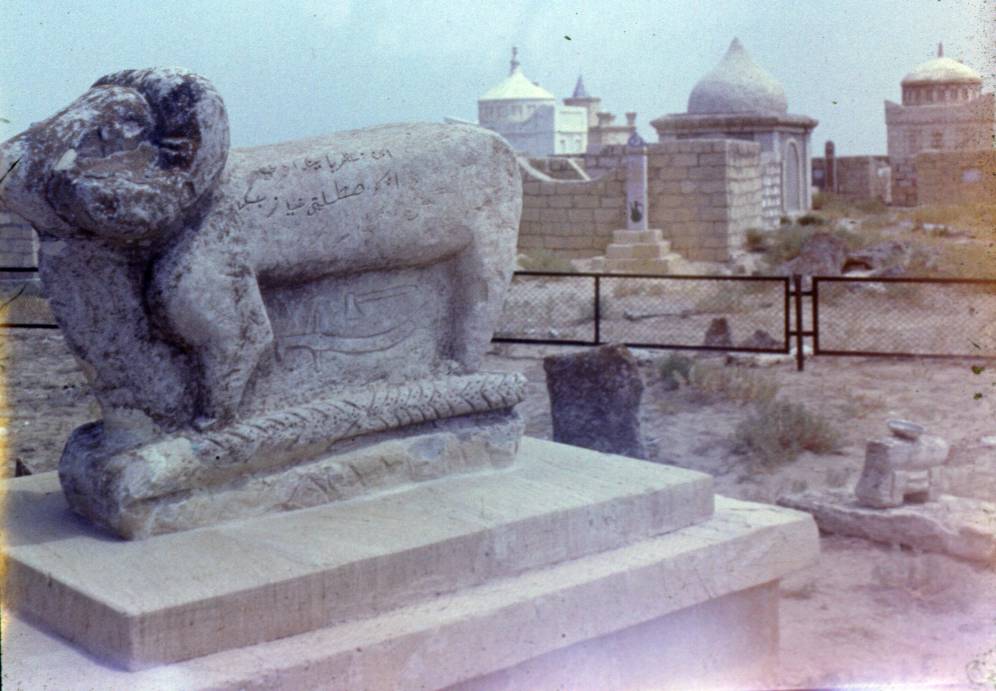 124.JPG