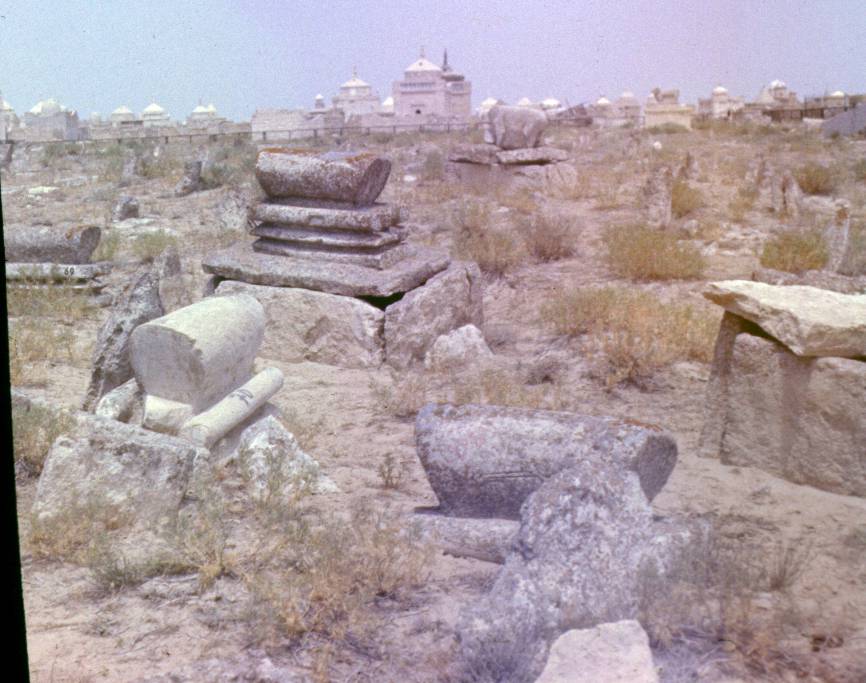 128.JPG