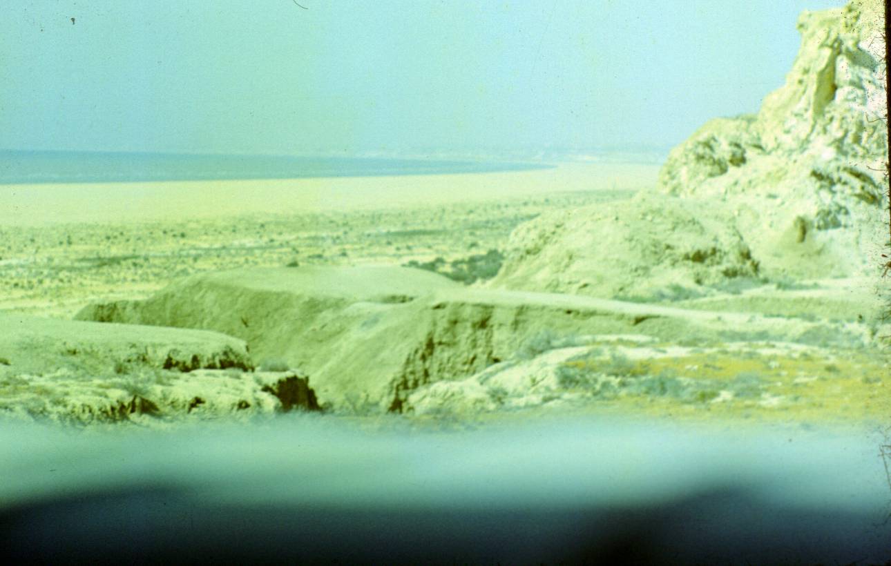 174.JPG