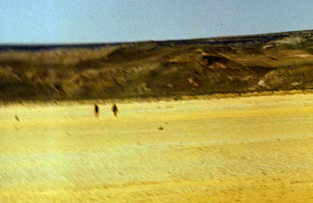 188.JPG
