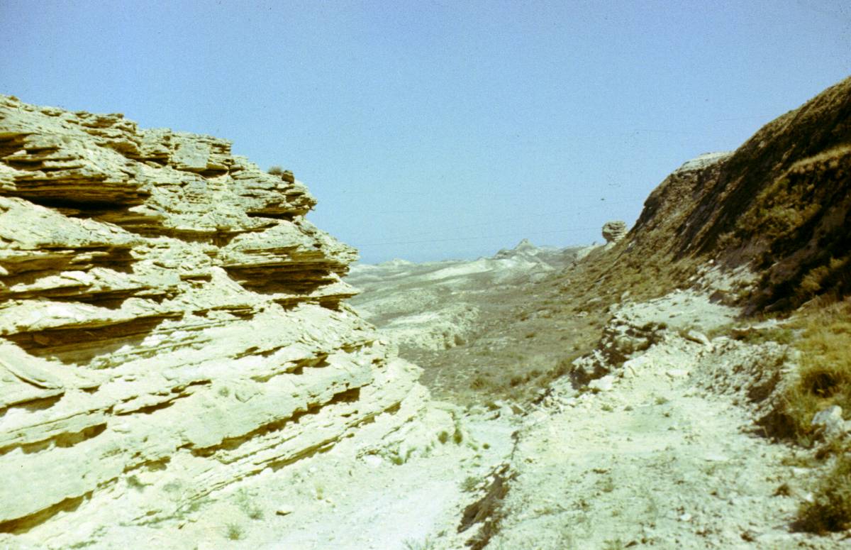 191.JPG