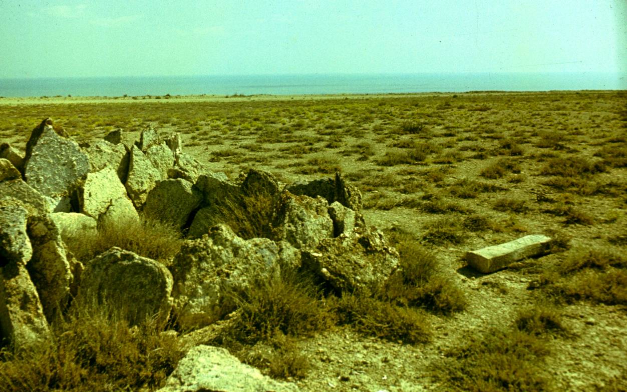 196.JPG