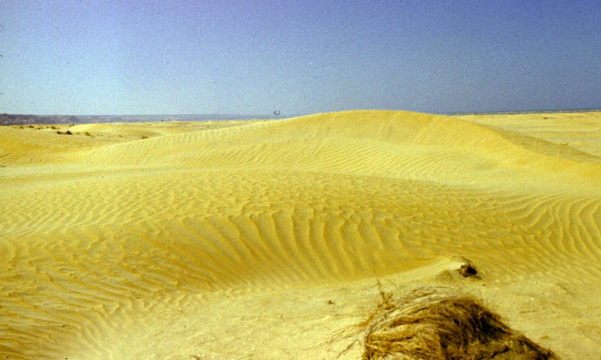 205.JPG