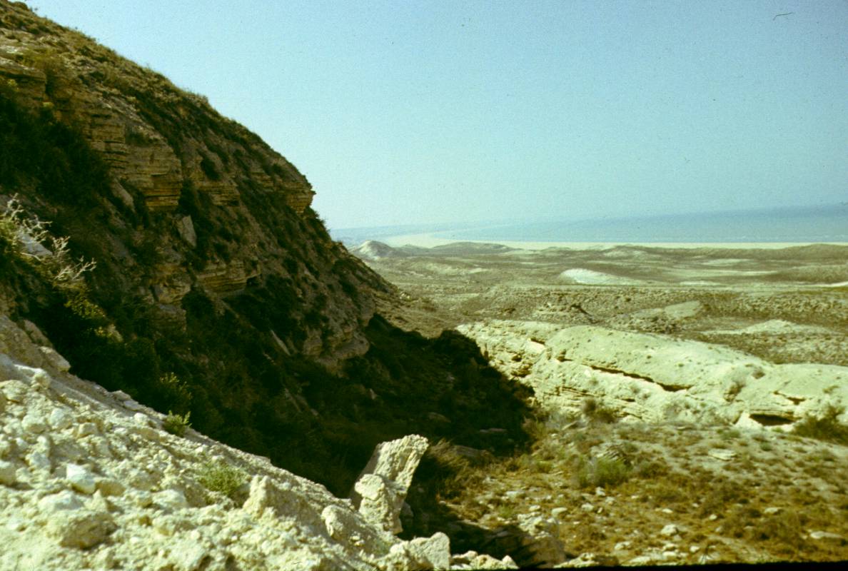 215.JPG