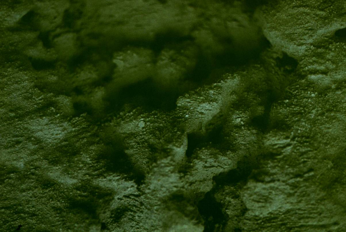 062.JPG