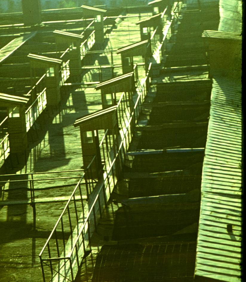 140.JPG