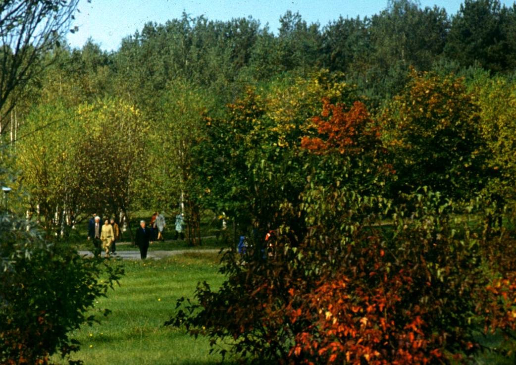156.JPG
