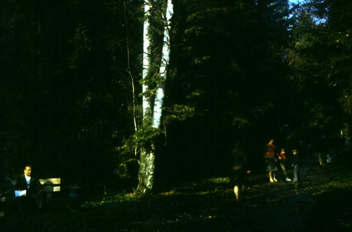 157.JPG
