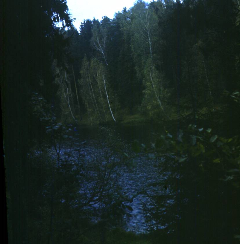 187.JPG