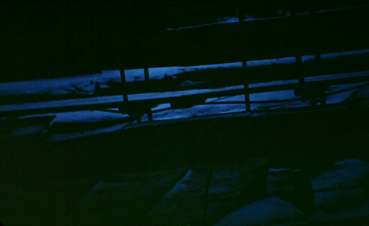 199.JPG