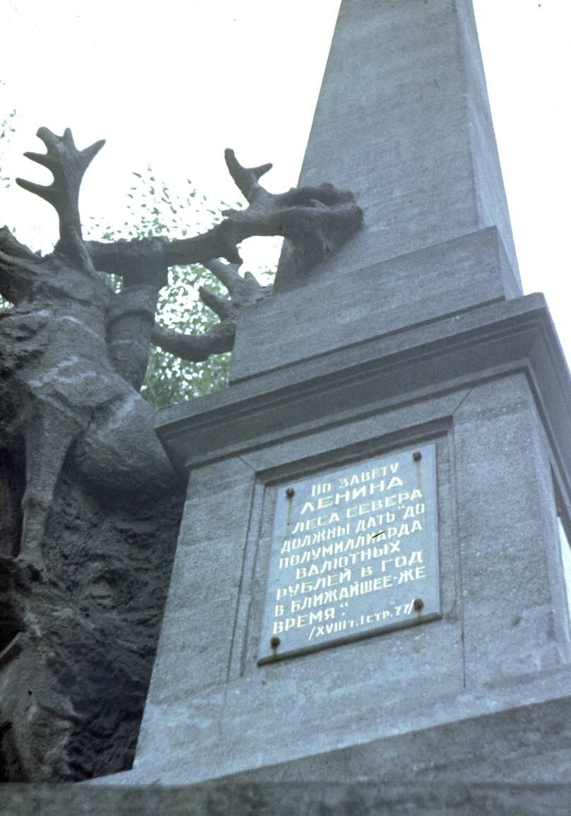 116.jpg