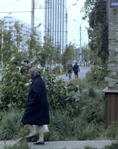 120-1.jpg
