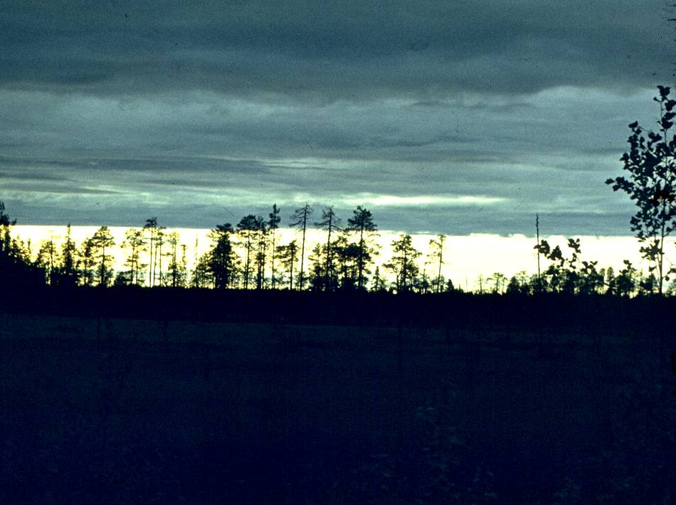 149.jpg