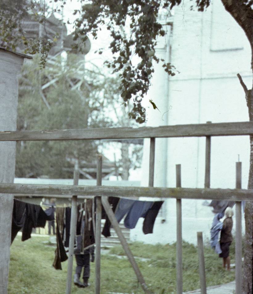 186.jpg