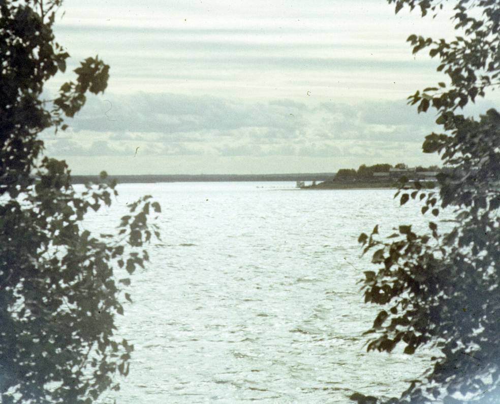 199.jpg