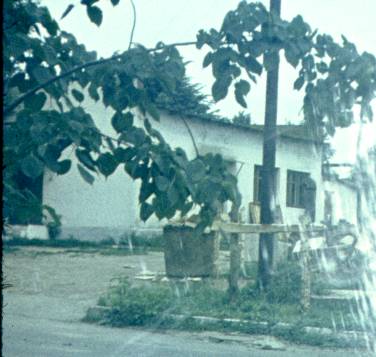 080.jpg