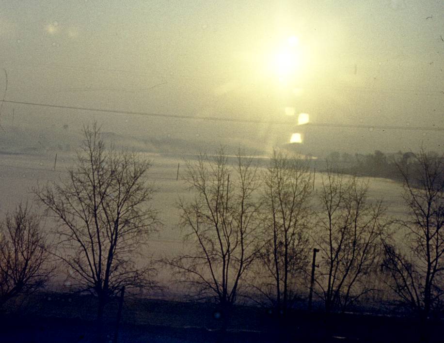 009.jpg