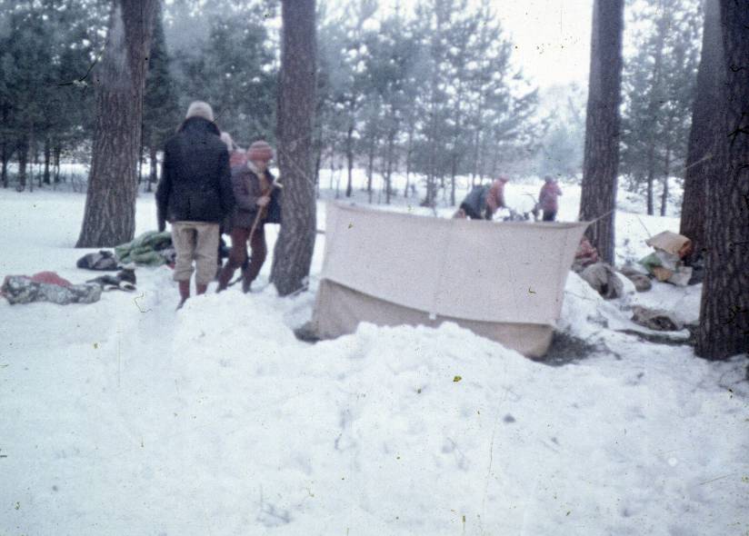 128.jpg