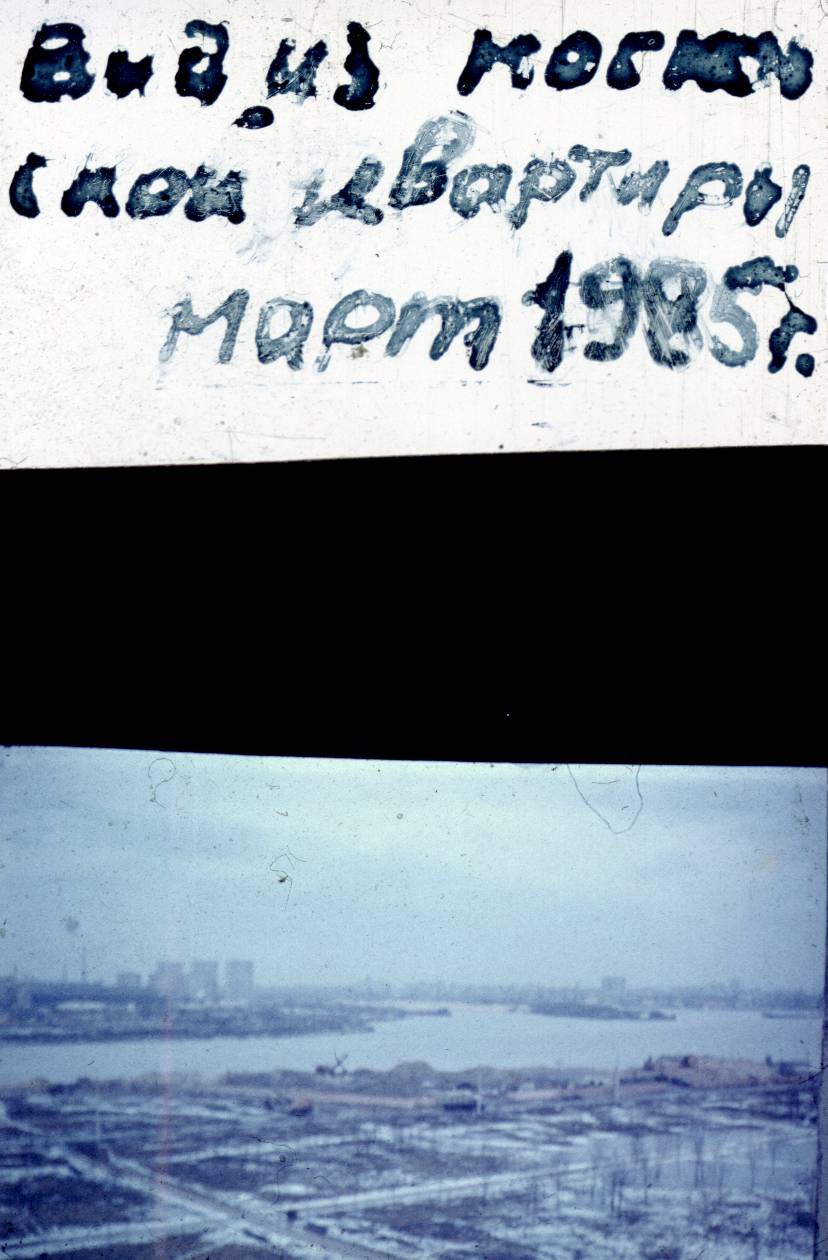 202.jpg