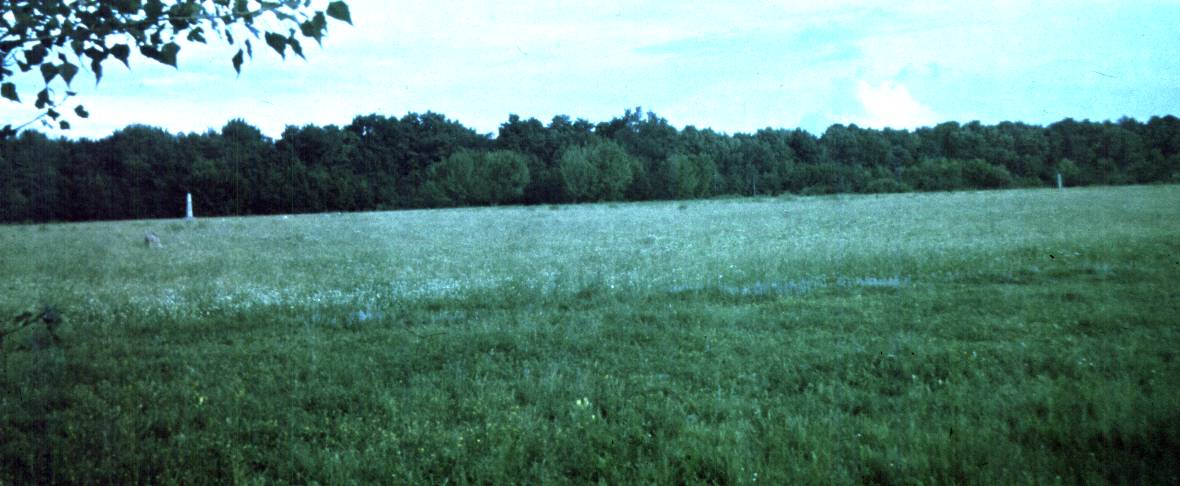 045.jpg
