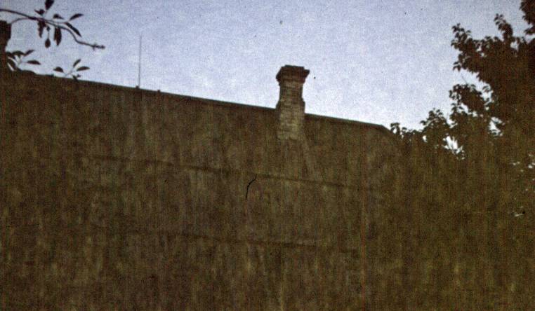 061.jpg