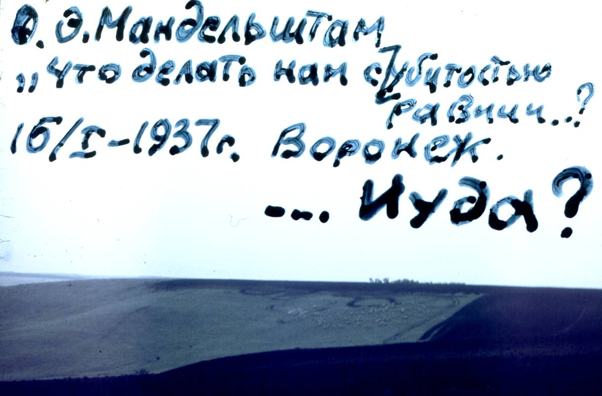 141.jpg