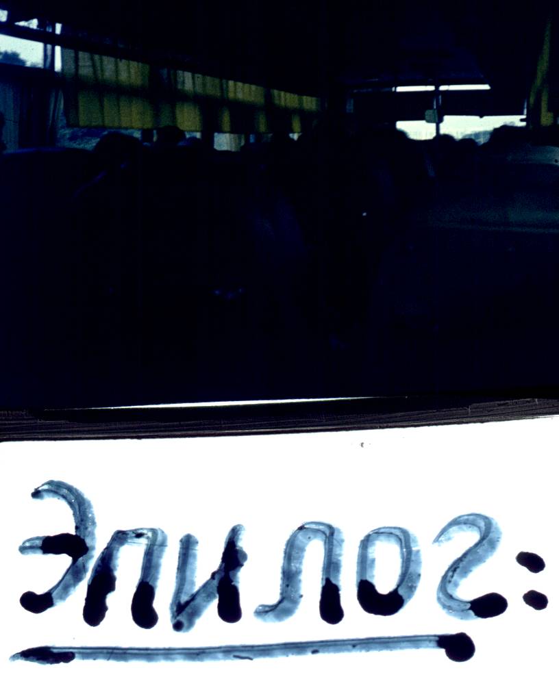 142.jpg