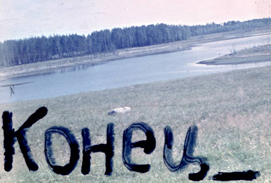 146.jpg