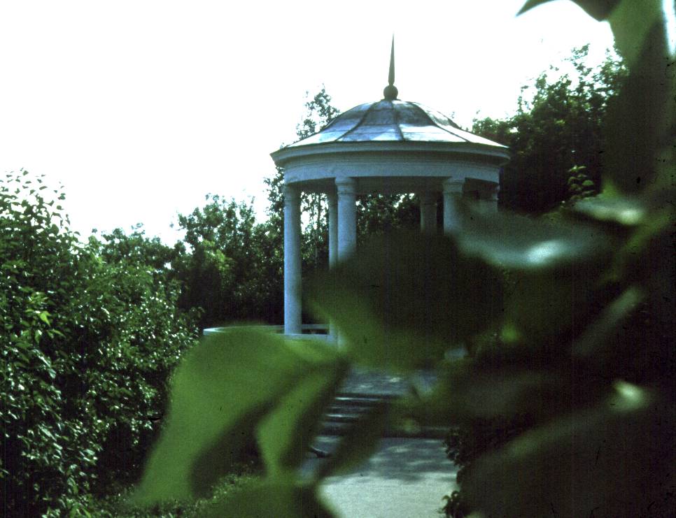 146.jpg
