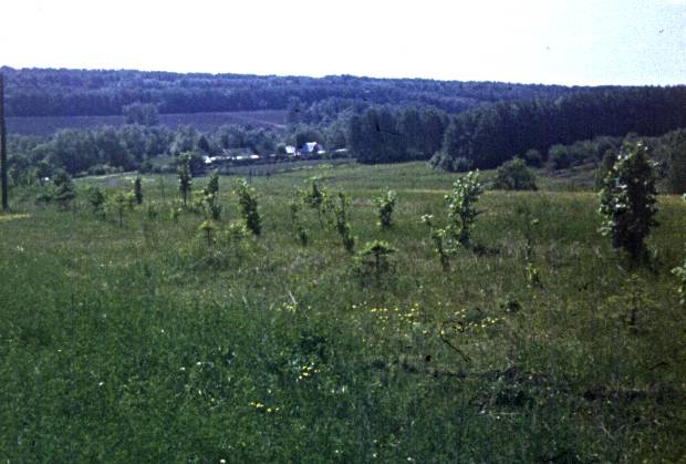 160.jpg
