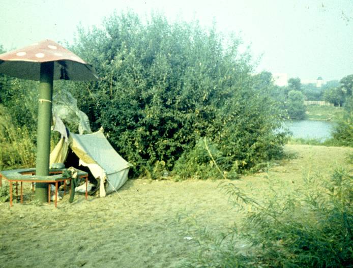 116.jpg