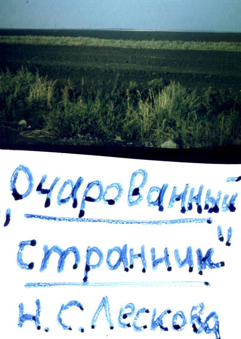 117.jpg