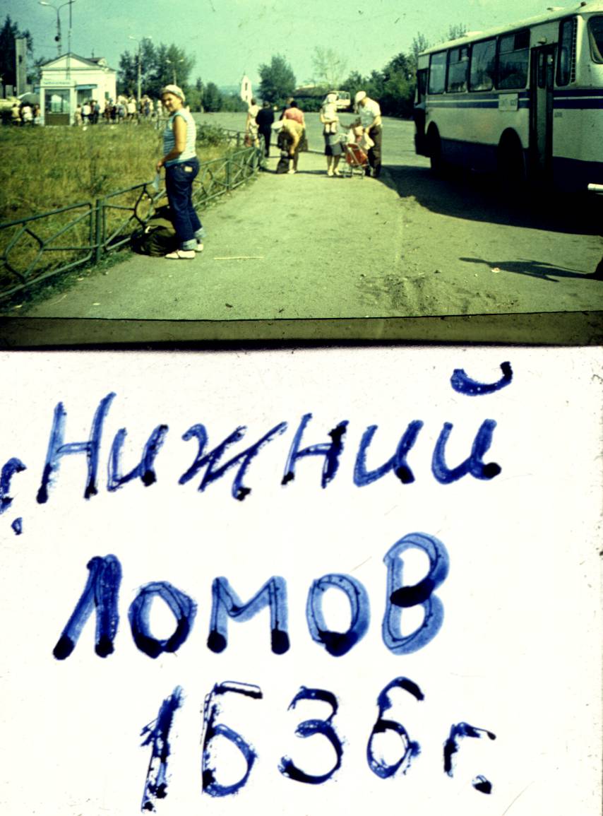 239.jpg