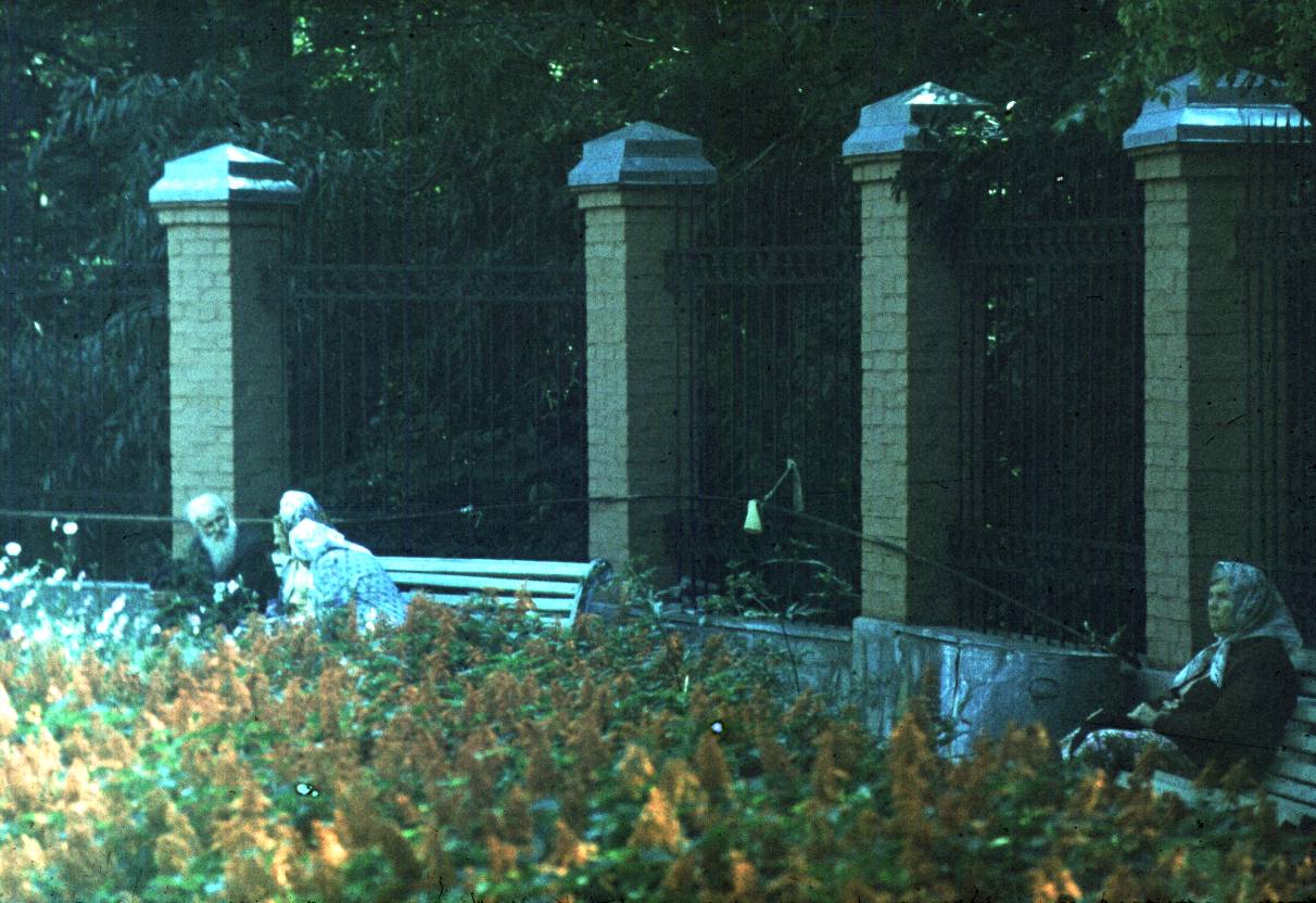 317.jpg