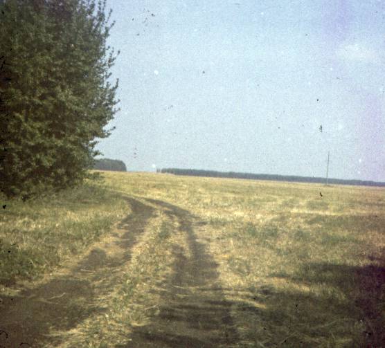 008.jpg