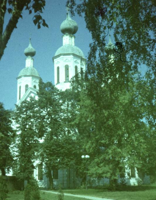 037.jpg