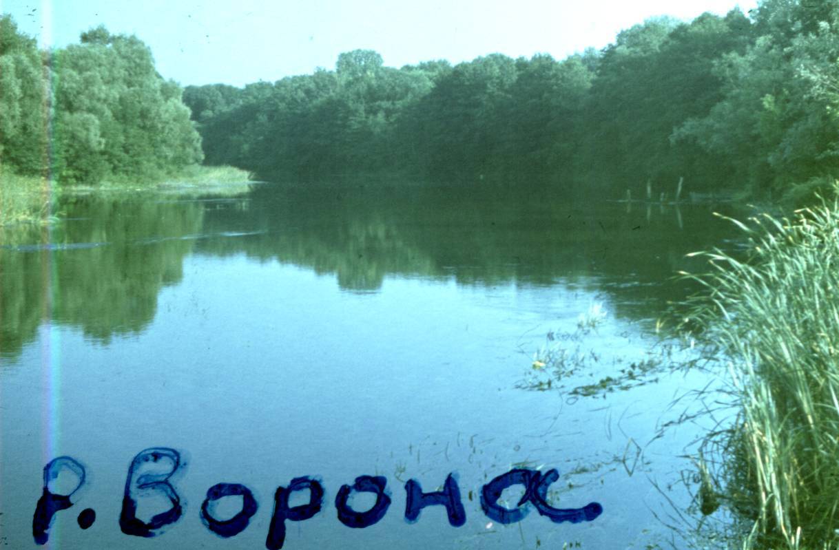 085-1.jpg