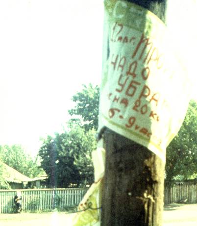 099-1.jpg