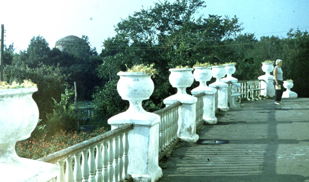 113.jpg