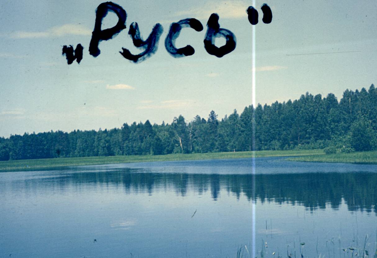 113.jpg