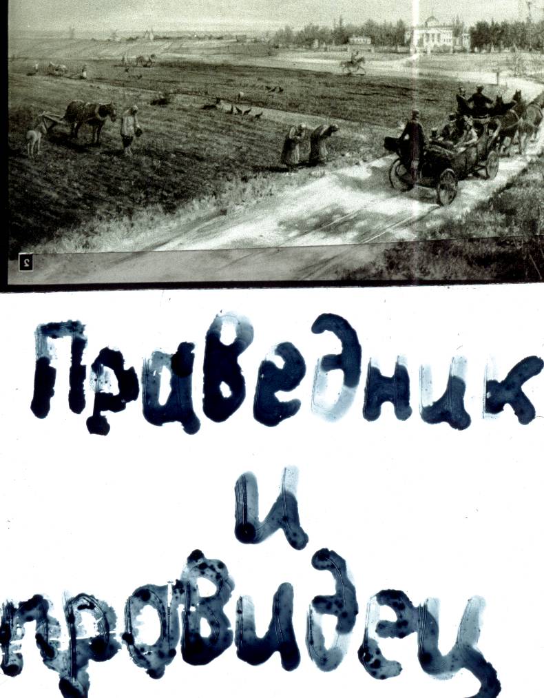 137.jpg