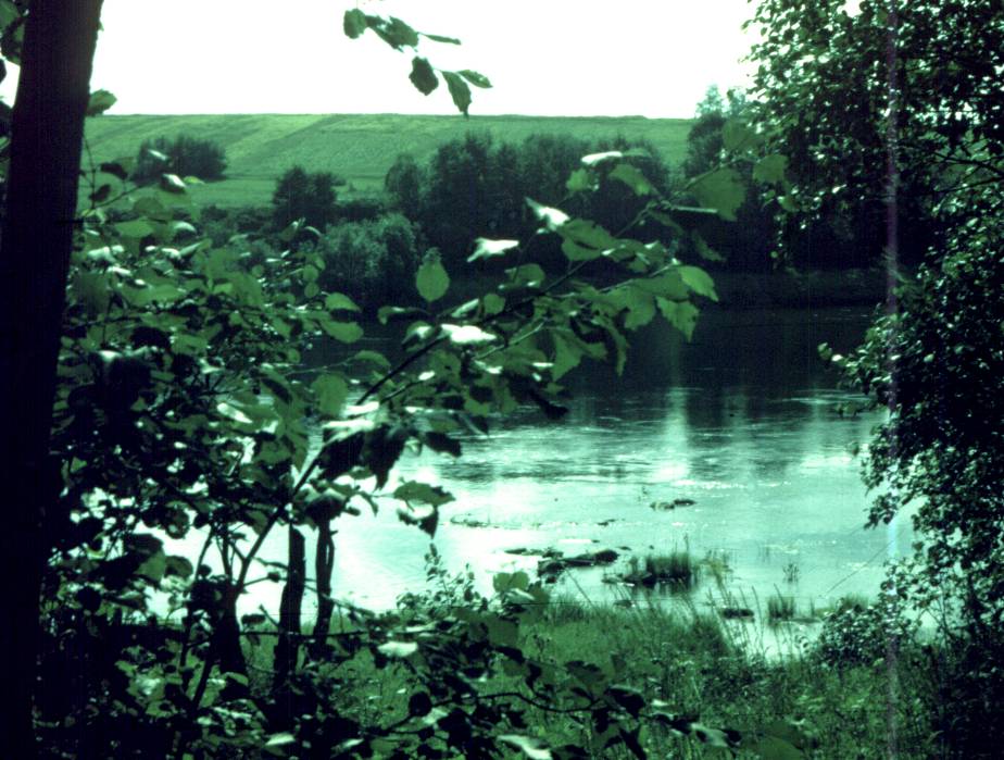 167-1.jpg