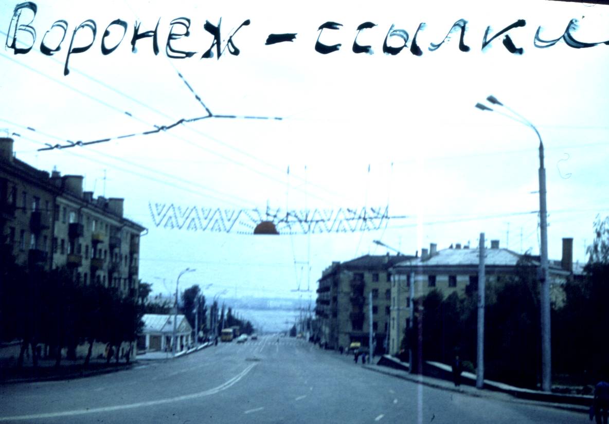 173.jpg