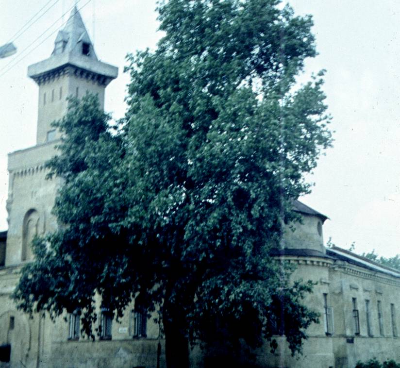 186.jpg